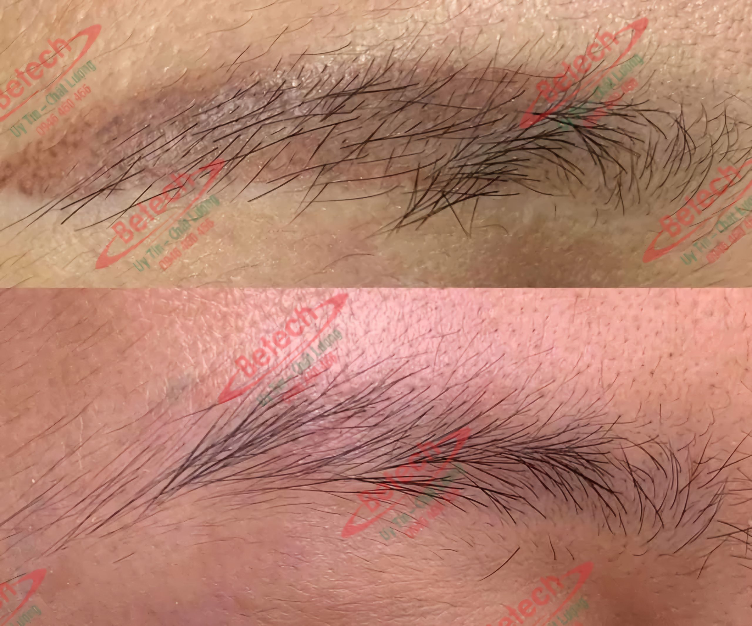 20241205 194213 scaled